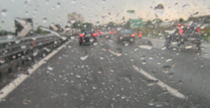 IMG_0294_regn.jpg